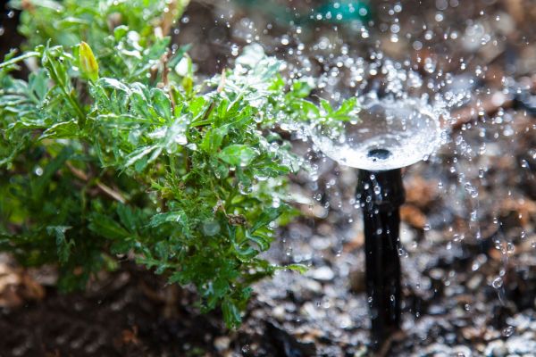 empresa agua potable