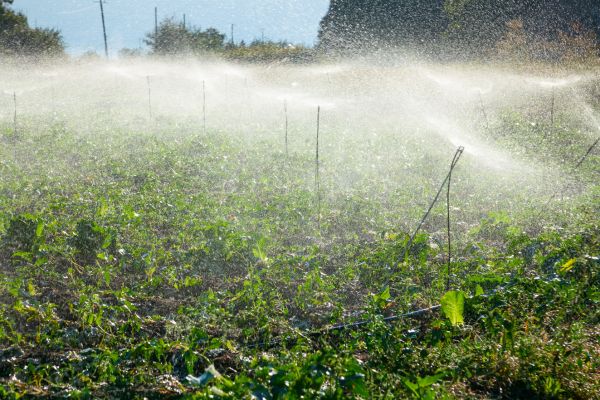 riego agua potable